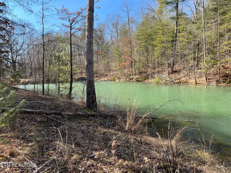 162.45ac Mill Creek Rd, Sunbright, TN 37872