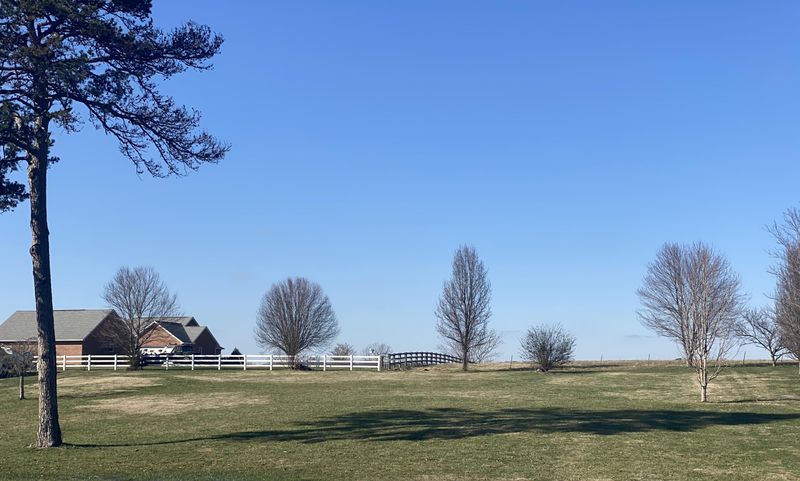 1620 Brahman Ln, Seymour, TN 37865