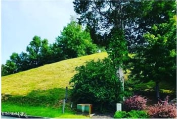 1624 Mountain Lodge Way, Pigeon Forge, TN 37862