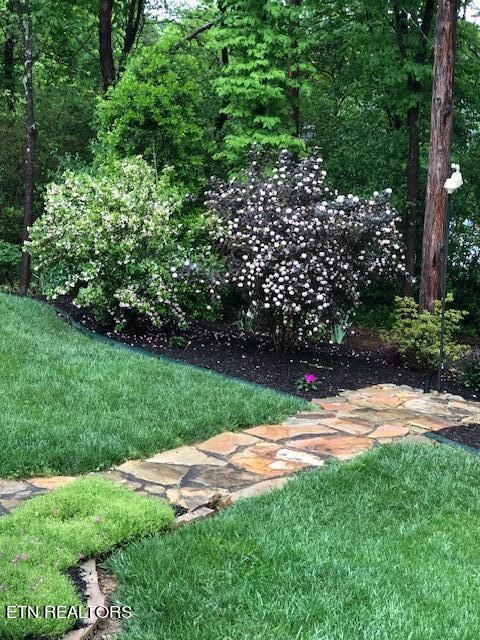 163 Depew Dr, Loudon, TN 37774