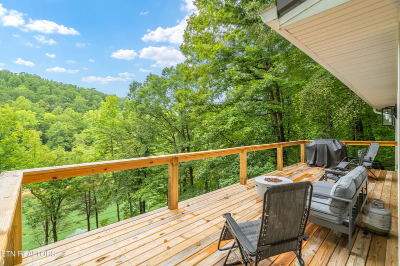 163 Elizabeth Ln, Caryville, TN 37714