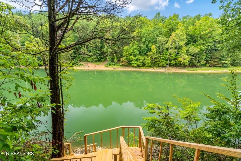 163 Elizabeth Ln, Caryville, TN 37714