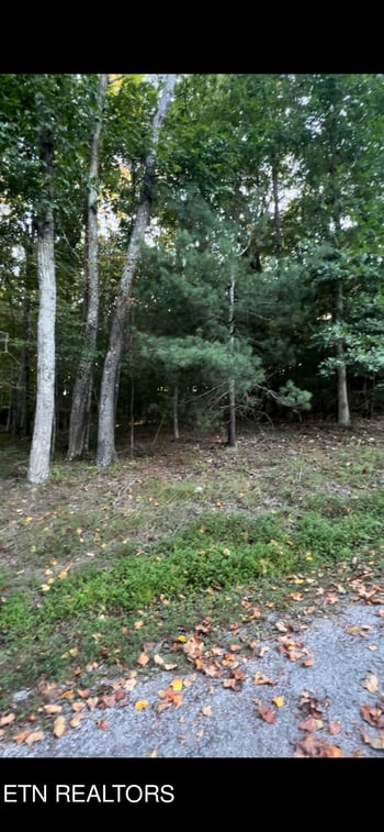 163 Lynhurst Dr, Crossville, TN 38558