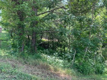 163 Utsesti, Loudon, TN 37774