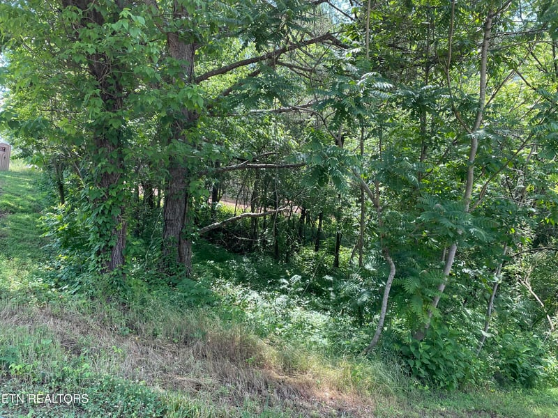 163 Utsesti, Loudon, TN 37774