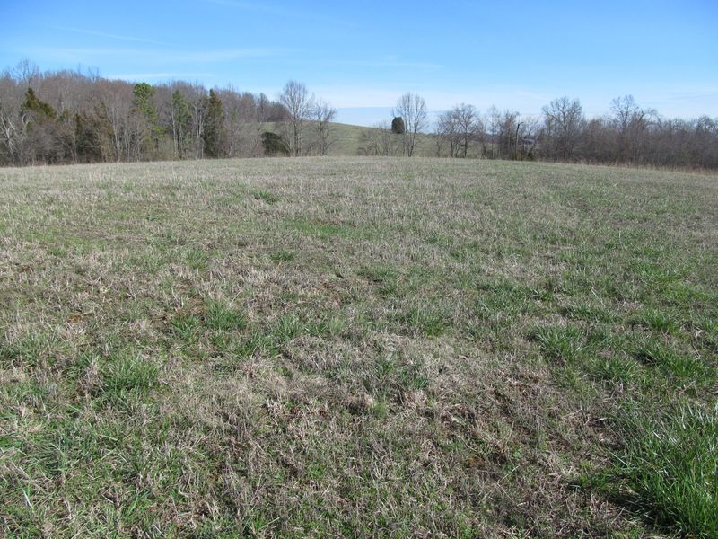 1630 Cedar Valley Rd #10 Acres, Sweetwater, TN 37874