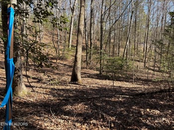 16305 E Highway 70, Rockwood, TN 37854