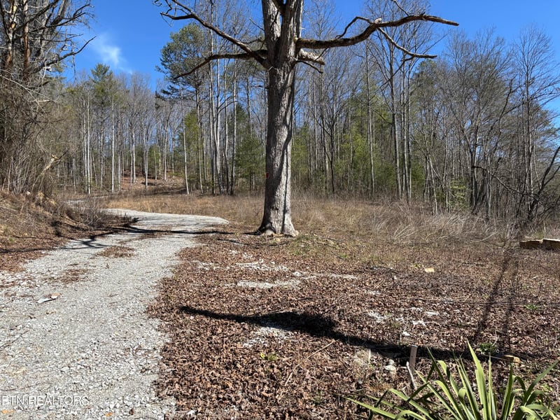 16305 E Highway 70, Rockwood, TN 37854