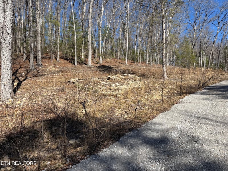 16305 E Highway 70, Rockwood, TN 37854