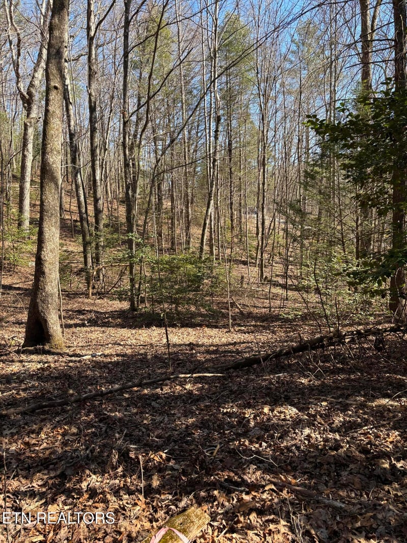 16305 E Highway 70, Rockwood, TN 37854