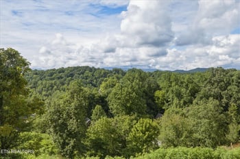 1634 Jed Trl, Sevierville, TN 37862