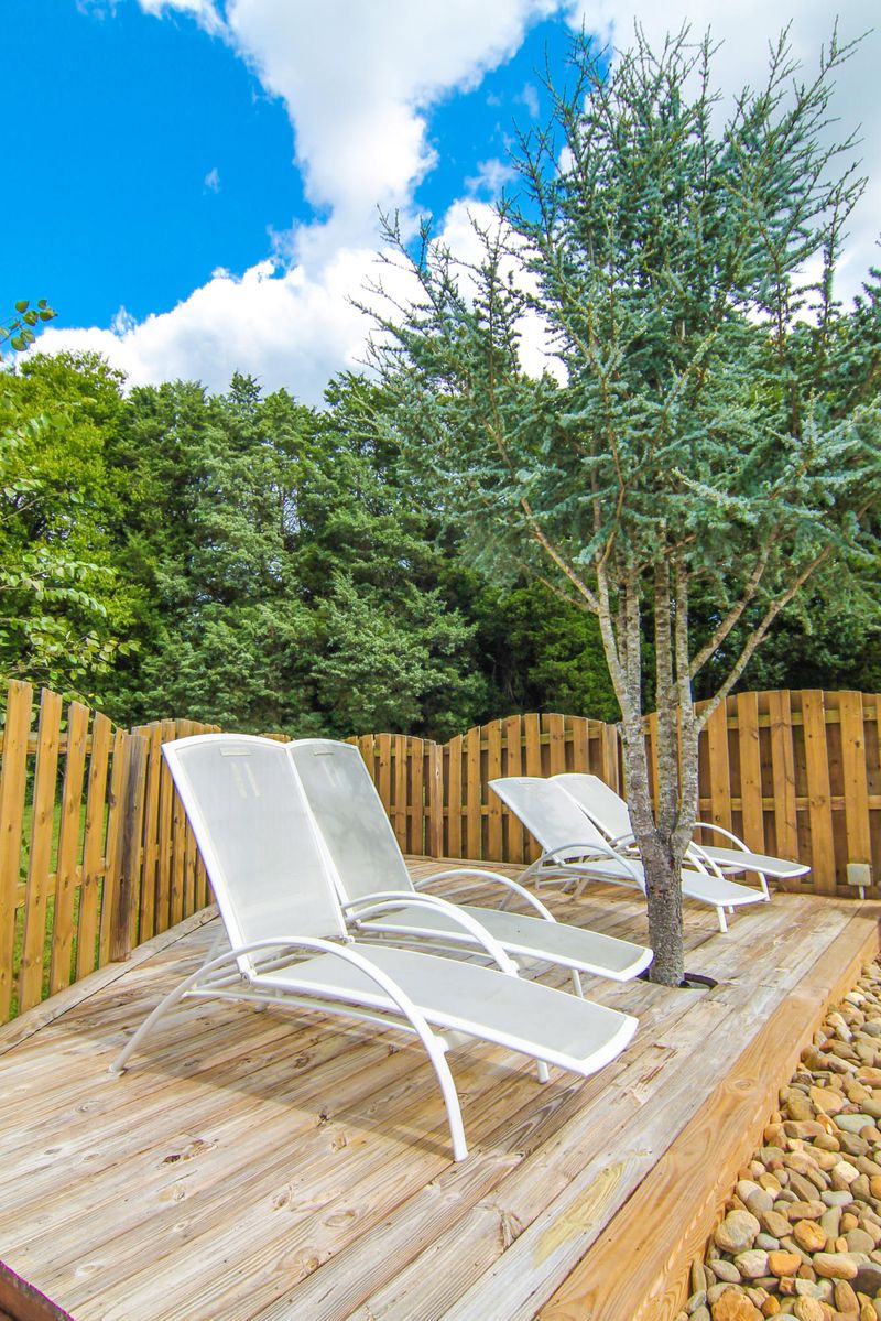 1635 Singletree Ln, Knoxville, TN 37922