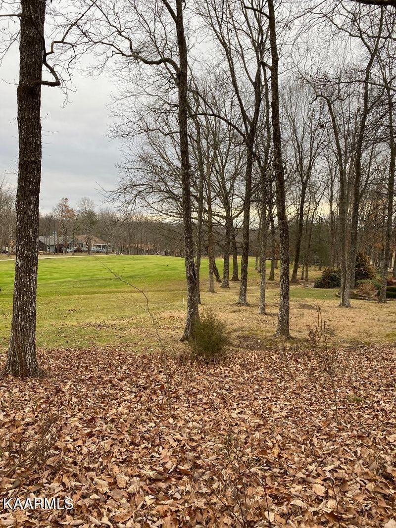 164 Baltusrol Rd, Fairfield Glade, TN 38558