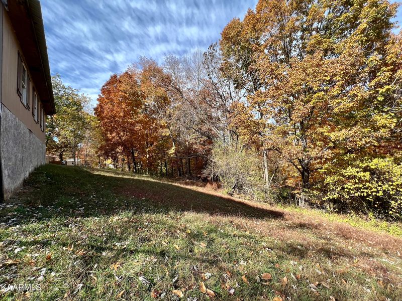 164 Crestview Ln, Jacksboro, TN 37757
