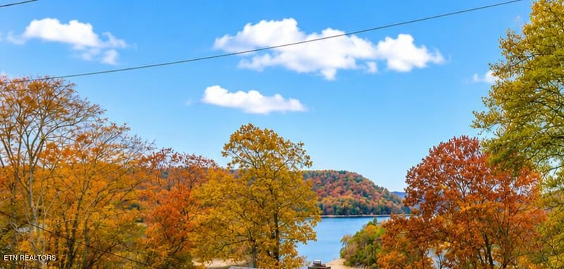 164 Dogwood Tr, Maynardville, TN 37807