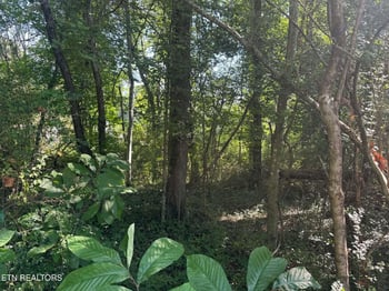 164 Jodys Ln, Rockwood, TN 37854