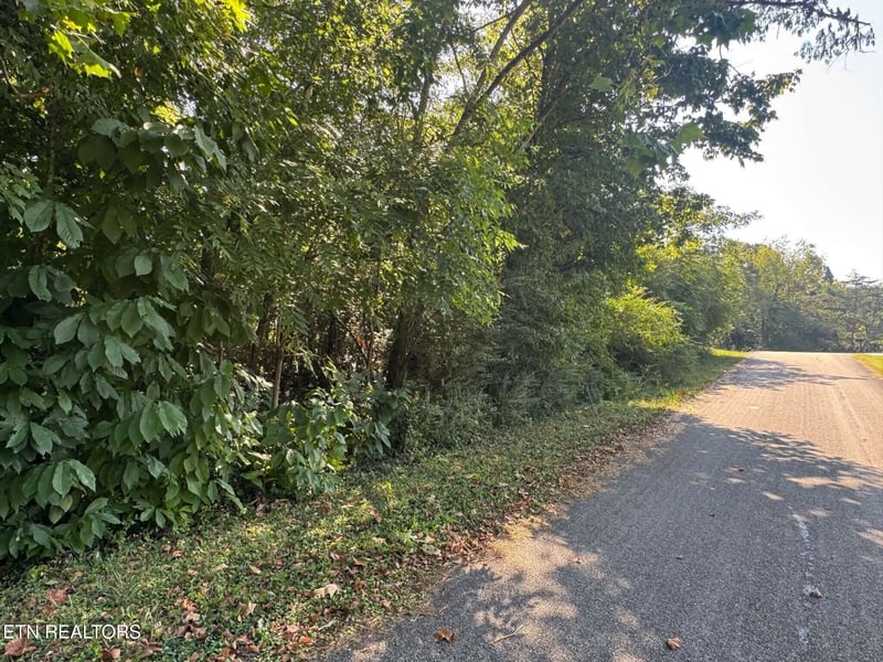 164 Jodys Ln, Rockwood, TN 37854