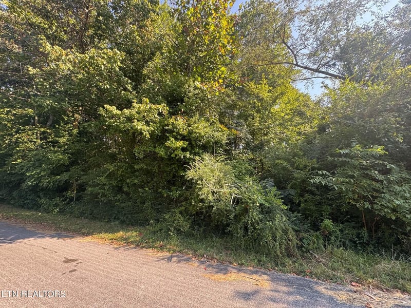 164 Jodys Ln, Rockwood, TN 37854