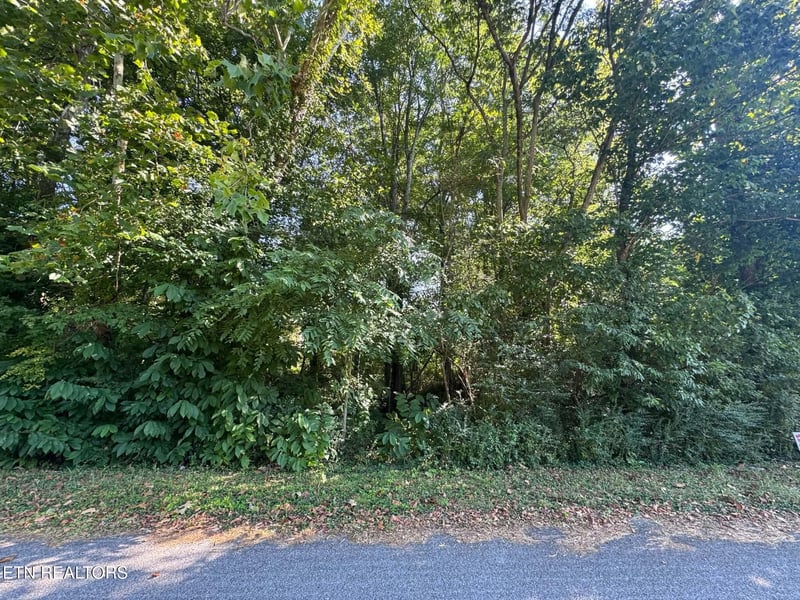 164 Jodys Ln, Rockwood, TN 37854