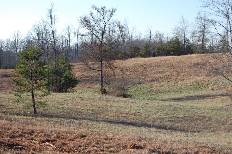 164 Martingale Way, Maryville, TN 37801