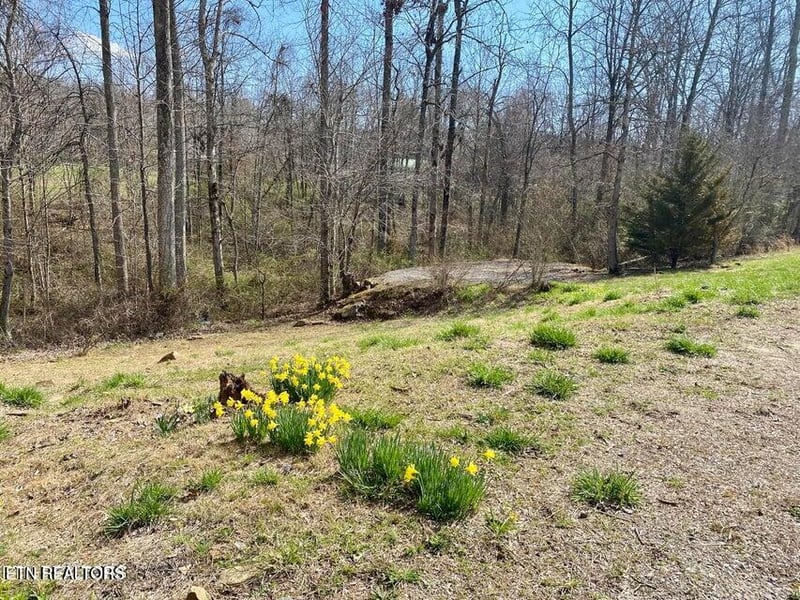 164 Norris St, Crossville, TN 38572