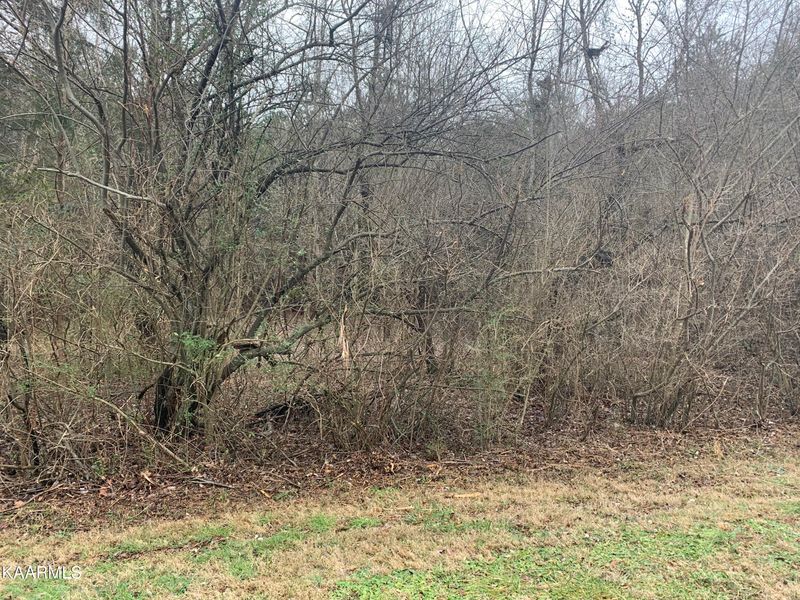 164 Pocola Way, Loudon, TN 37774