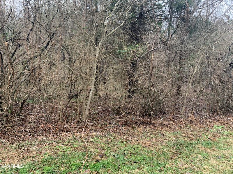 164 Pocola Way, Loudon, TN 37774