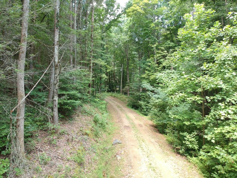 1641 Old Chilhowee Rd, Seymour, TN 37865