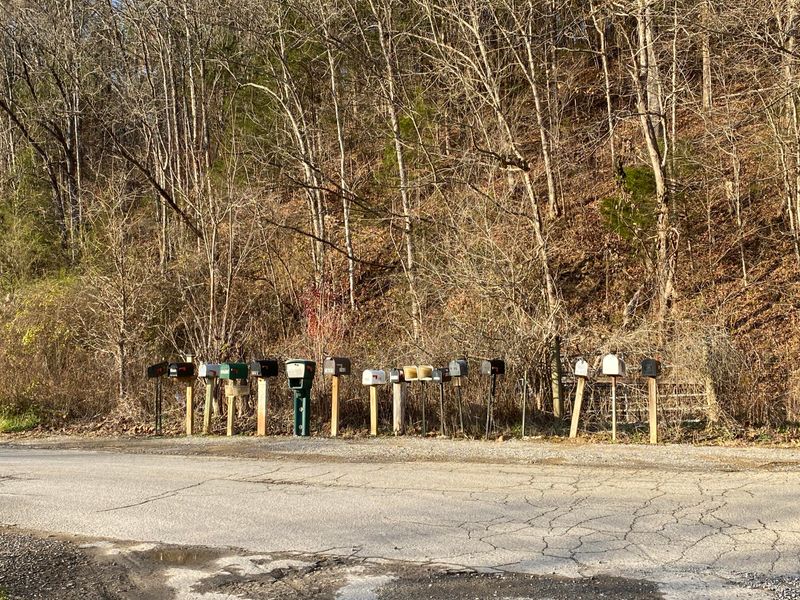 1643 Old Chilhowee Rd, Seymour, TN 37865