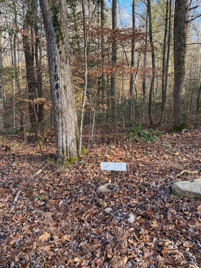 1643 Old Chilhowee Rd, Seymour, TN 37865