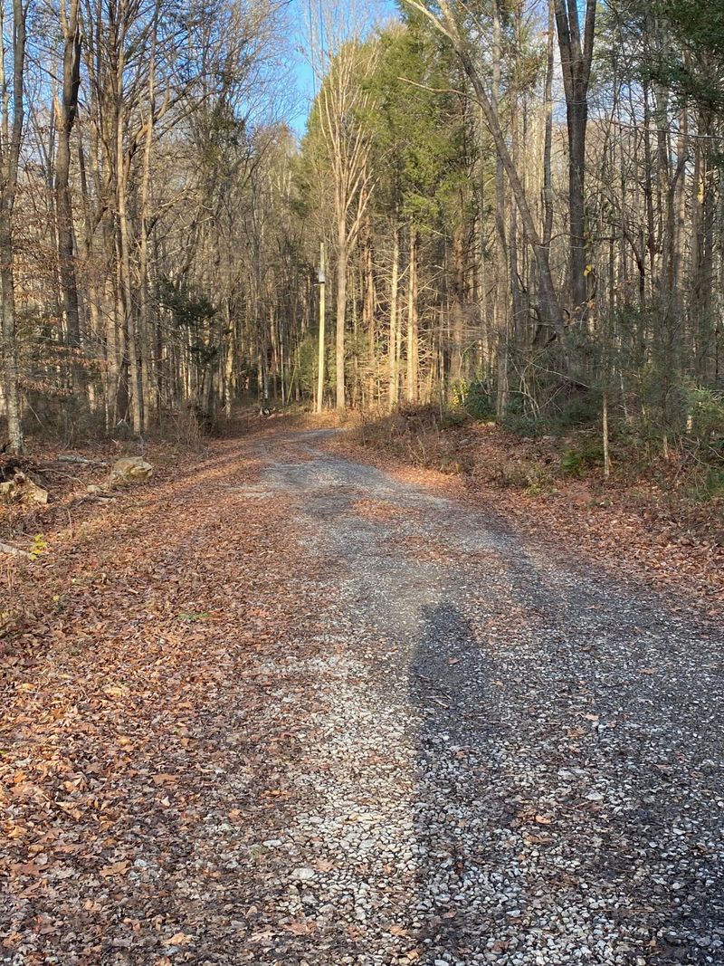 1643 Old Chilhowee Rd, Seymour, TN 37865