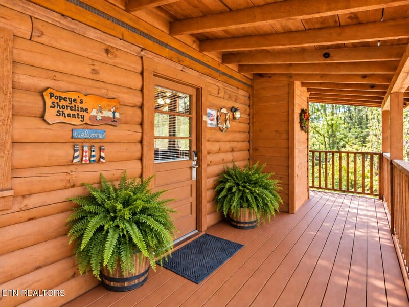 1645 S Mountain View Rd, Sevierville, TN 37876