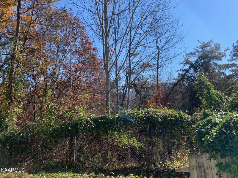 1647 Birch Dr, Sevierville, TN 37876