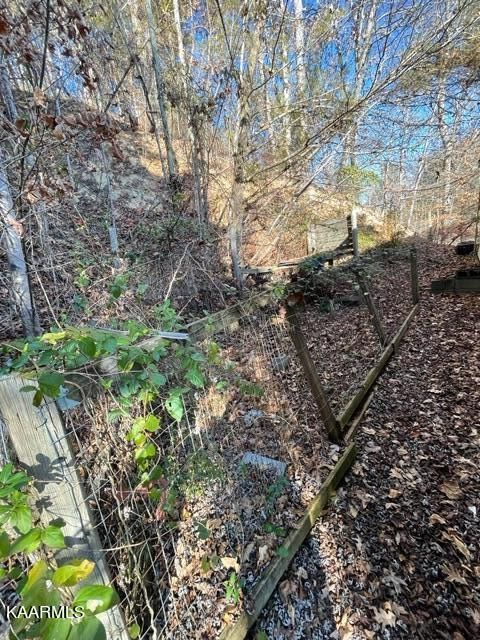 1647 Birch Dr, Sevierville, TN 37876