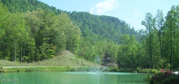 165 Anatole Ps, Townsend, TN 37882