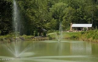 165 Anatole Ps, Townsend, TN 37882