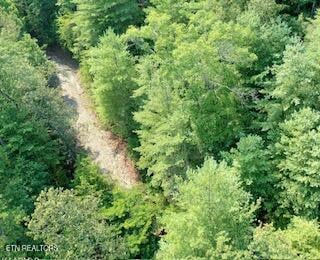165 Anatole Ps, Townsend, TN 37882