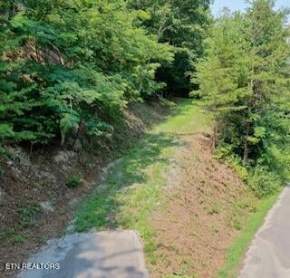 165 Anatole Ps, Townsend, TN 37882