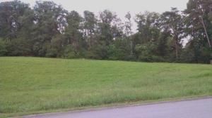 165 Conkinnon Dr, Lenoir City, TN 37772