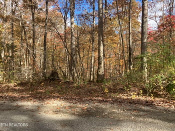 165 Devon Rd, Crossville, TN 38558