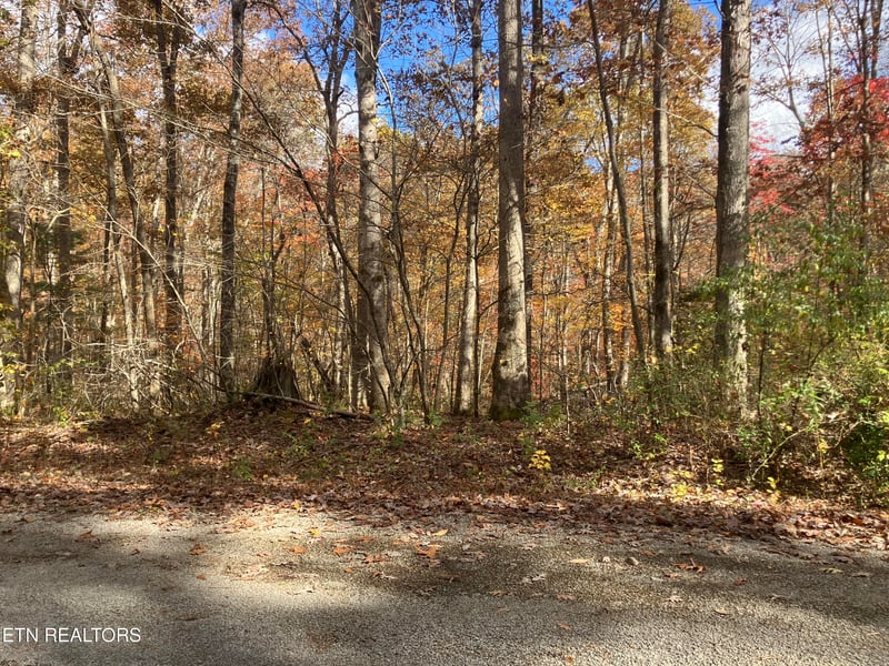 165 Devon Rd, Crossville, TN 38558