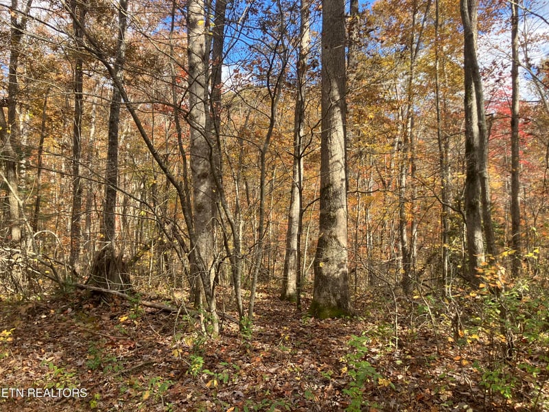 165 Devon Rd, Crossville, TN 38558