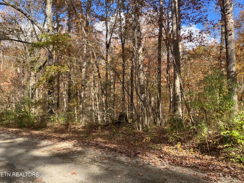 165 Devon Rd, Crossville, TN 38558