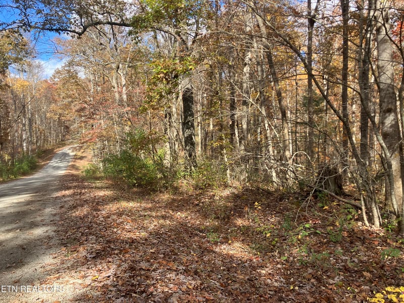 165 Devon Rd, Crossville, TN 38558