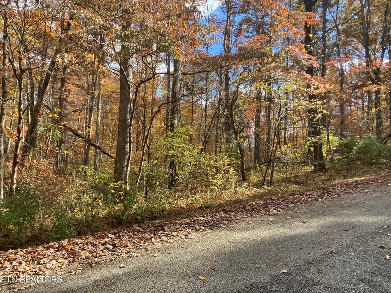 165 Devon Rd, Crossville, TN 38558