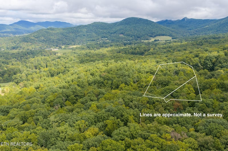 165 Lail Ln, Townsend, TN 37882
