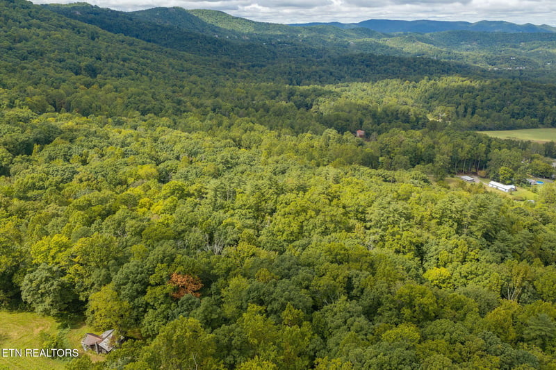 165 Lail Ln, Townsend, TN 37882