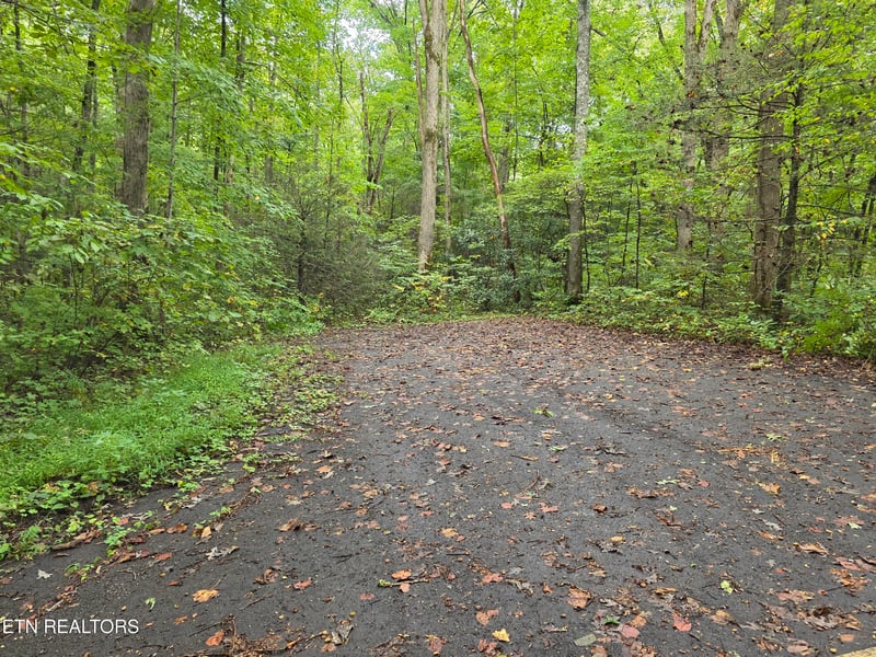 165 Lail Ln, Townsend, TN 37882