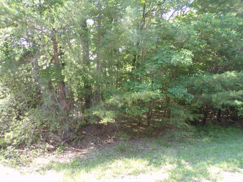 165 Pineridge Loop, Fairfield Glade, TN 38558