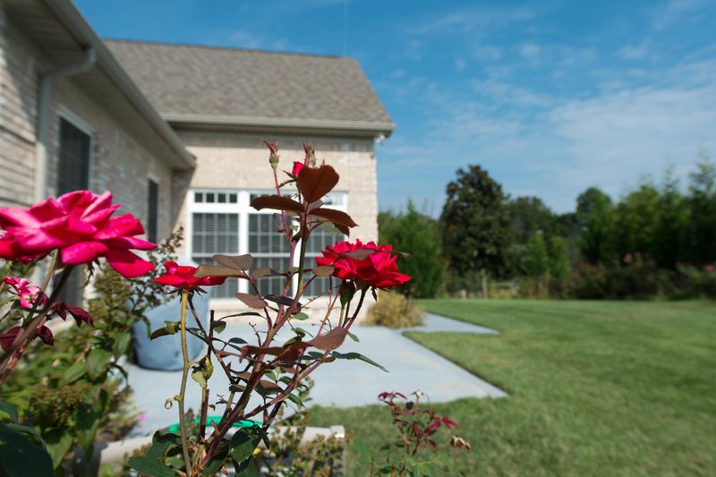 165 Riverchase Rd, Lenoir City, TN 37772